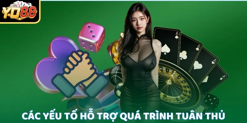 Xác minh cùng hỗ trợ về điều kiện