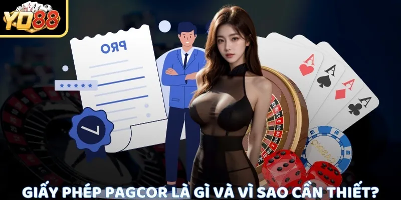 Phạm vi hoạt động trong hồ sơ PAGCOR