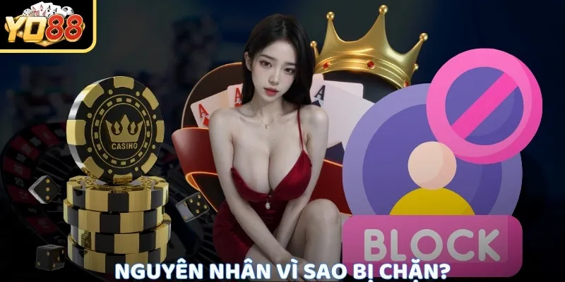Phân biệt mạng, DNS, bảo trì và giới hạn